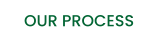 OUR PROCESS